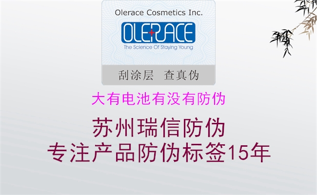 大有電池有沒(méi)有防偽(圖2) 大有電池有沒(méi)有防偽2.jpg
