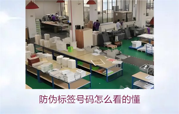 防偽標(biāo)簽號(hào)碼怎么看的懂？詳細(xì)解析防偽標(biāo)簽號(hào)碼的識(shí)別方法與技巧(圖2)