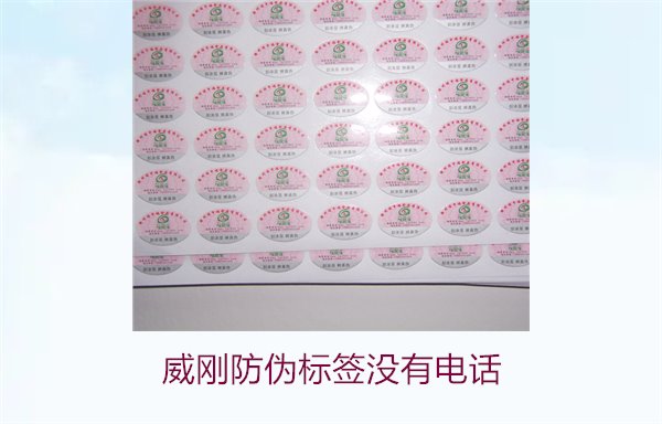 威剛防偽標簽沒有電話，如何通過其他方式驗證威剛防偽標簽的真?zhèn)?圖3)